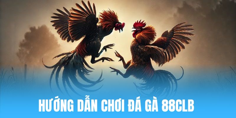 Cách trải nghiệm cá cược đá gà 88clb an toàn